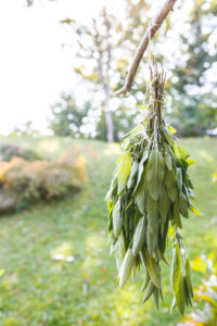 A bouquet of leaves of garden sage (Salvia officinalis), hanging in the sun to dry A bouquet of leaves of garden sage (Salvia officinalis), hanging in the sun to dry